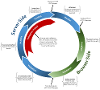 Form Page Lifecycle