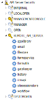 Remote API Server Key