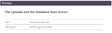 Handling File Uploads - The Digital Platform Documentation Site