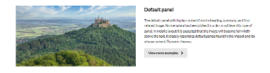 Panel - The Digital Platform Documentation Site