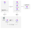 Asynchronous Framework Overview