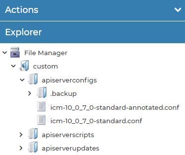 API Server Config File