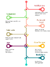 Case Timeline