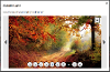 The image gallery displaying a full size image carousel